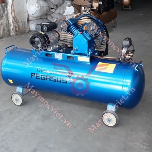 Máy Nén Khí PEGASUS TM-V-0.25/8-120L