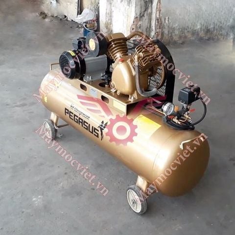 Máy nén khí công nghiệp Pegasus TM- V-0.25/12.5-120L