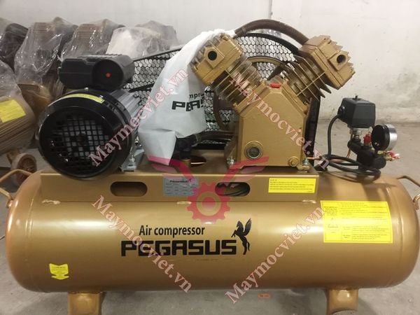 Máy nén khí mini Pegasus TM-V -0.25/8-70L