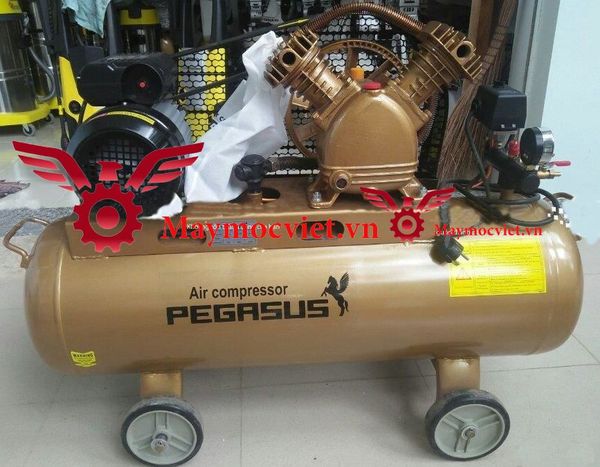 Máy Nén Khí PEGASUS TM-V-0.25/8-120L