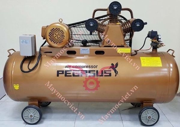 Máy Nén Khí PEGASUS TM-V-0.25/8-120L