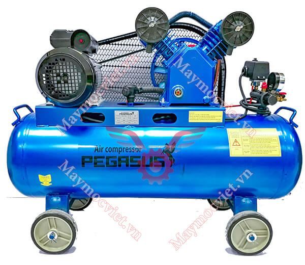 Máy Nén Khí PEGASUS TM-V-0.25/8-120L