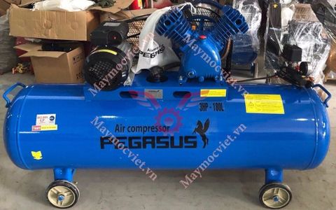 Máy nén khí công nghiệp Pegasus TM-V-0.17/8-180L