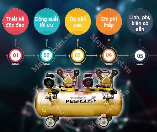 Máy nén khí Pegasus TM-V-0.25/8x2-230L