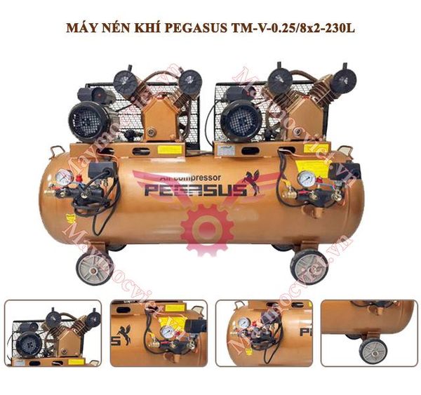 Máy nén khí Pegasus TM-V-0.25/8x2-230L