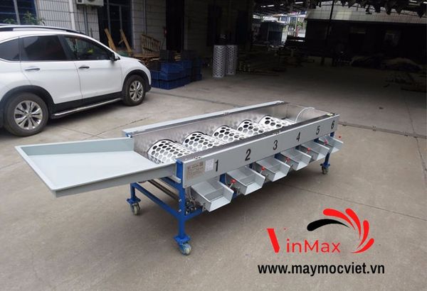 Máy phân loại trái cây Turbo TBP750