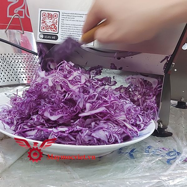 Máy thái bắp cải làm salad, thái hoa chuối, bào bắp chuối VMRC220