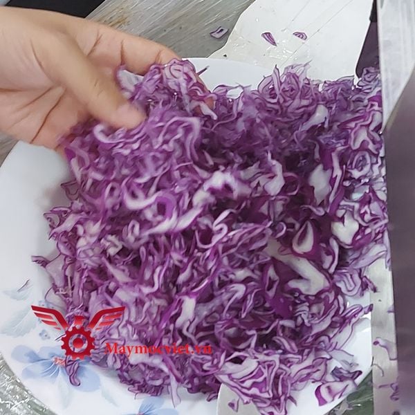 Máy thái bắp cải làm salad, thái hoa chuối, bào bắp chuối VMRC220