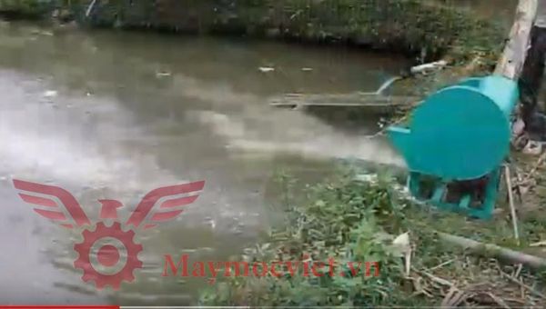 Máy thái chuối băm cỏ động cơ xăng VM MTC170