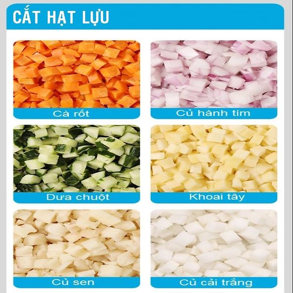 Máy thái củ quả đa năng thái hạt lựu, thái lát, thái sợi Turbo TBT200