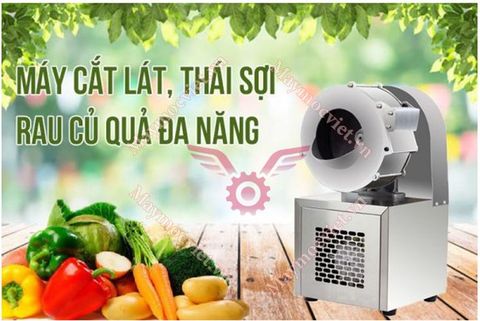 Máy thái sợi, cắt lát củ quả đa năng VM CQ1100