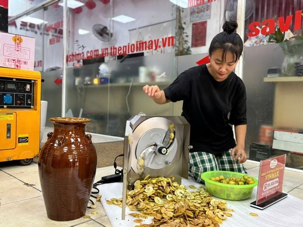 Máy thái táo mèo năng suất cao Vinmax VMM115