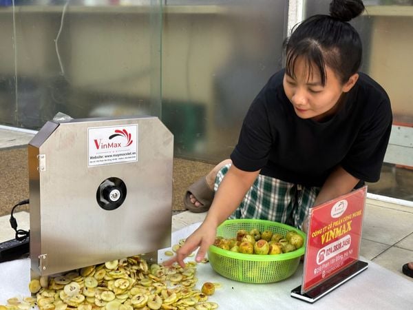 Máy thái táo mèo năng suất cao Vinmax VMM115