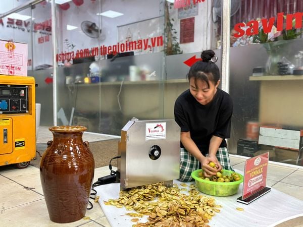 Máy thái táo mèo năng suất cao Vinmax VMM115