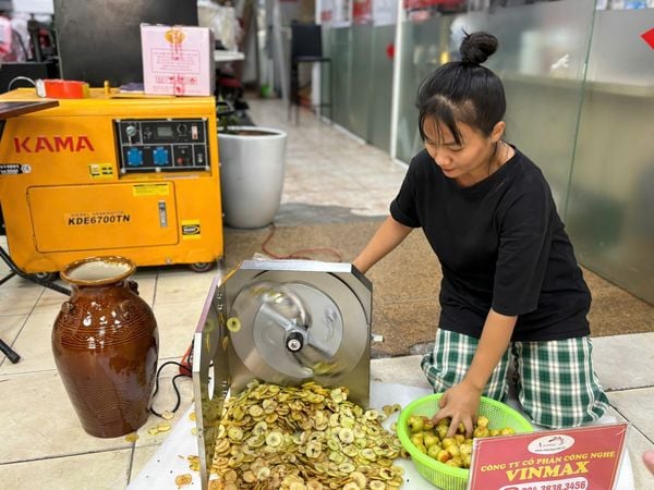 Máy thái táo mèo năng suất cao Vinmax VMM115