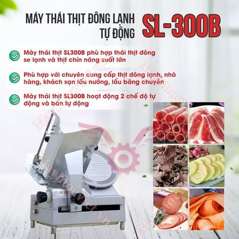 Máy thái thịt tự động VM SL300B