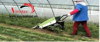 Máy Thu Hoạch Lá Hẹ, Rau Muống 1 Hàng Turbo TBR01