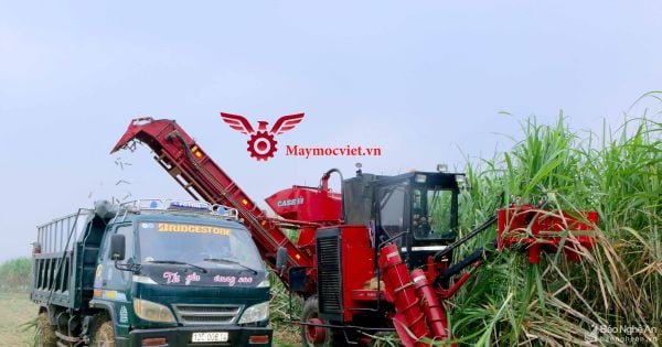 Máy thu hoạch mía VM129HP
