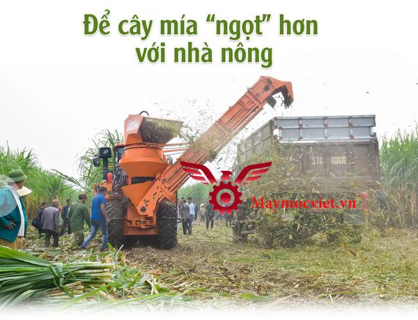 Máy thu hoạch mía VM129HP