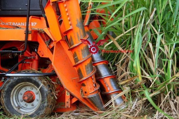 Máy thu hoạch mía VM129HP