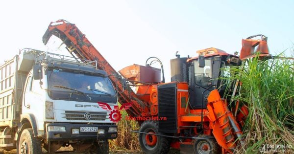 Máy thu hoạch mía VM129HP