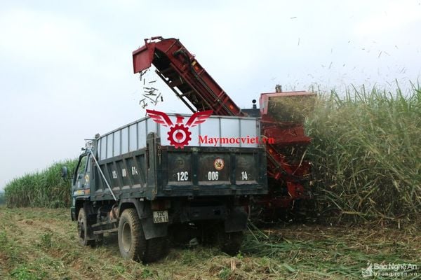Máy thu hoạch mía VM129HP