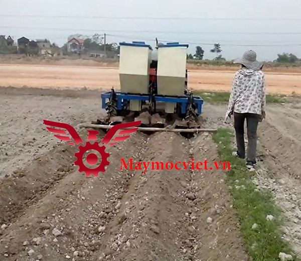 Máy trồng khoai tây VMK02