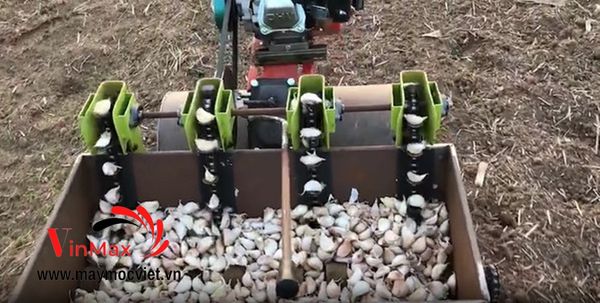 Máy trồng tỏi 4 hàng Turbo TBT04
