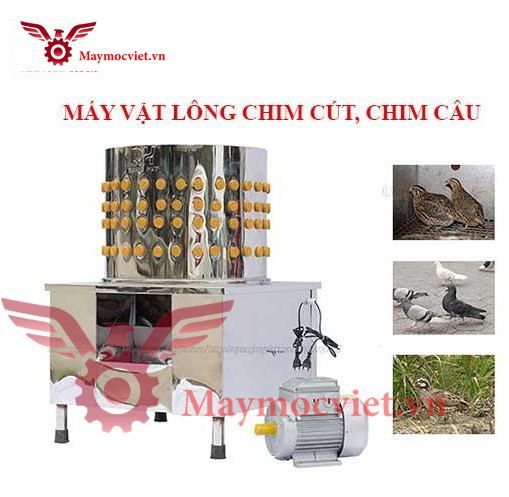Máy vặt lông chim cút, gà ác, bồ câu sạch 99%
