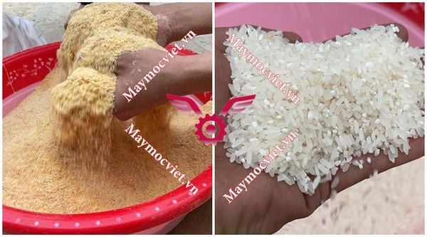 Máy xát gạo 4 chức năng có lọc sạn sàng rung VM XG4CN