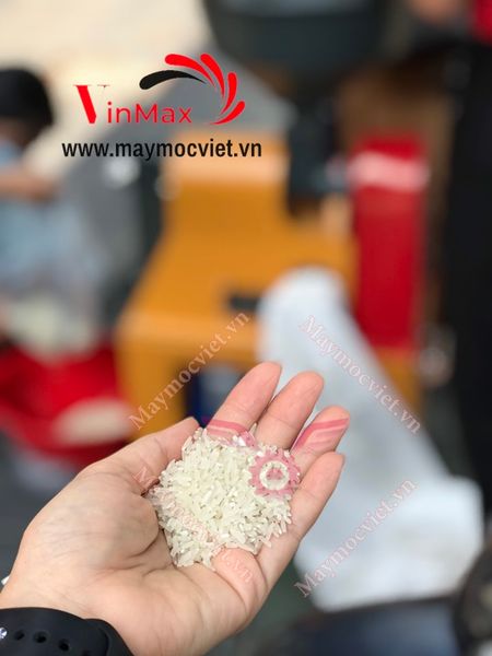 Máy xát gạo, vỡ hạt mini Vinmax YL40