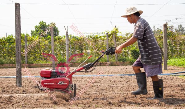 MÁY XỚI ĐẤT HONDA FJ500 T