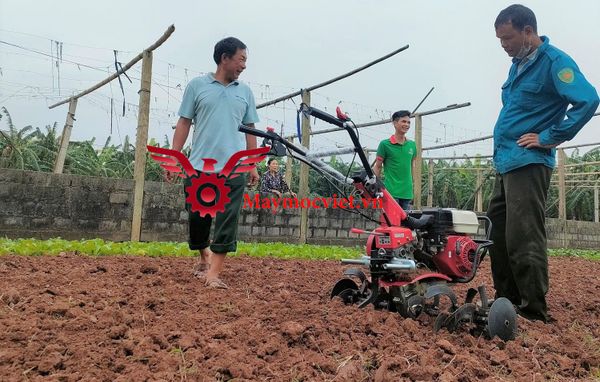 Máy xới đất đa năng Honda VM601
