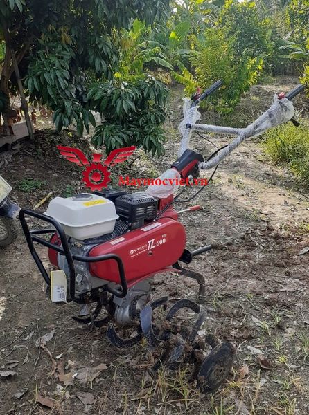 Máy xới đất Honda VM600HD