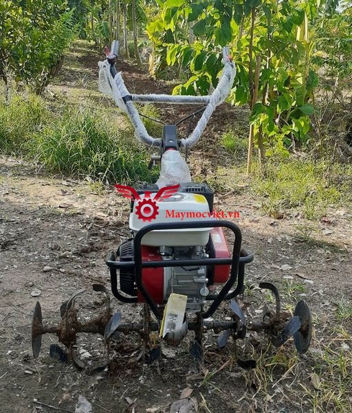 Máy xới đất Honda VM600HD