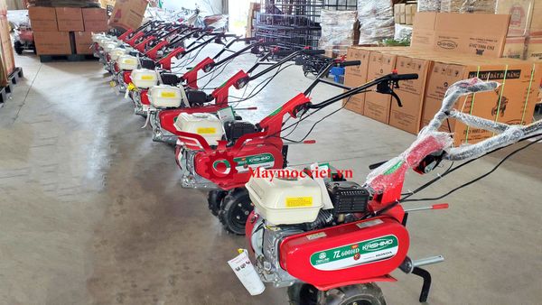 Máy xới đất Honda VM600HD