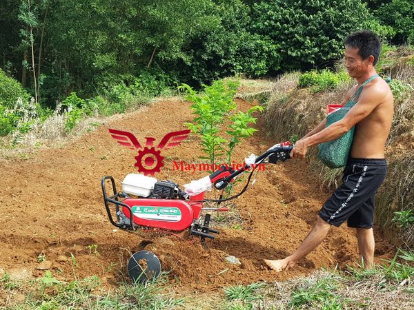 Máy xới đất Honda VM600HD
