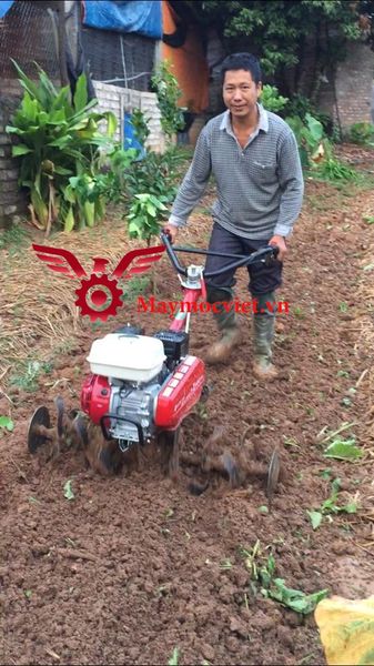 Máy xới đất đa năng Honda VM601