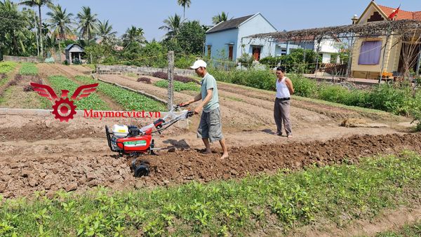 Máy xới đất đa năng Honda VM601