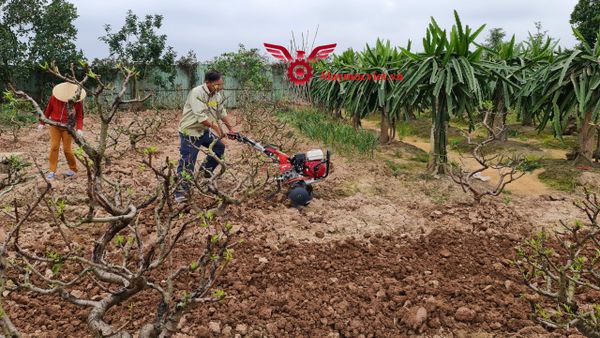 Máy xới đất đa năng Honda VM701