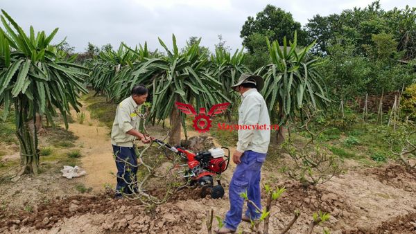 Máy xới đất đa năng Honda VM701