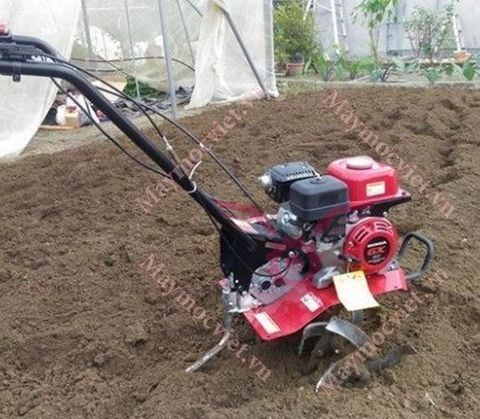 Máy Xới Đất Mini Honda F300 IN