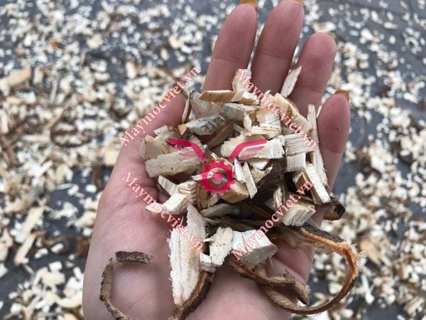 Máy băm cây 4 thì Sumo MT70