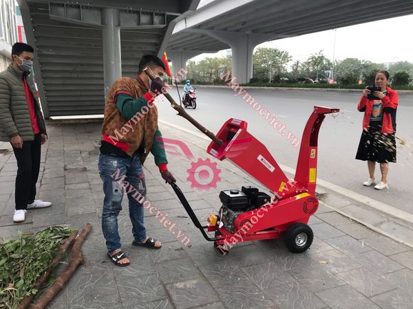 Máy băm cây 4 thì Sumo MT70