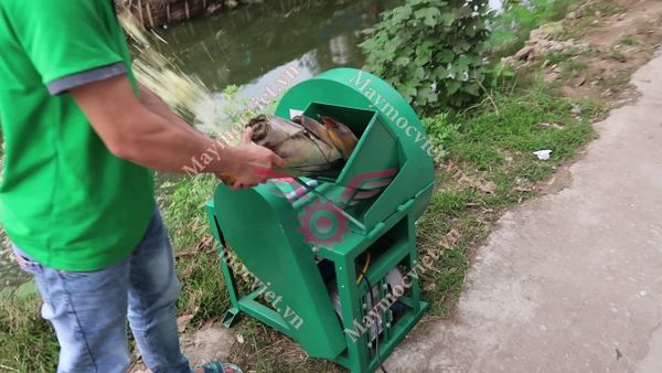 Máy thái chuối, băm cỏ voi đa năng công suất 2.2kw MBT2200