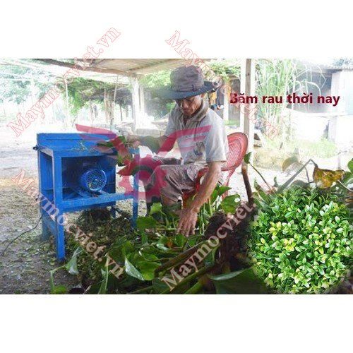 Máy Băm Cỏ Vuông Động Cơ 0.75kw VN750