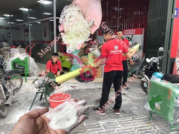 Máy băm chuối, nghiền ngô đa năng SAVI BN215