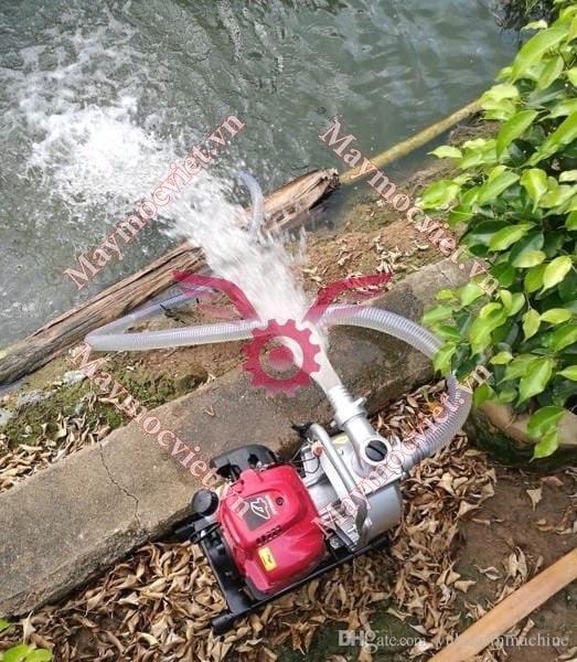 Máy bơm nước Honda WX10T D1 xách tay