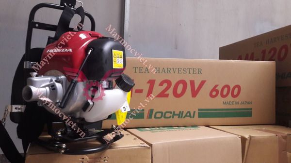 Máy Hái Chè OCHIAI AM 120V 600 Nhật Bản