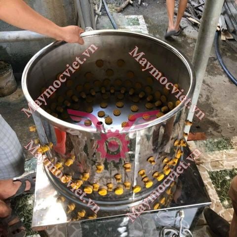 Máy vặt lông chim cút, gà ác, bồ câu sạch 99%